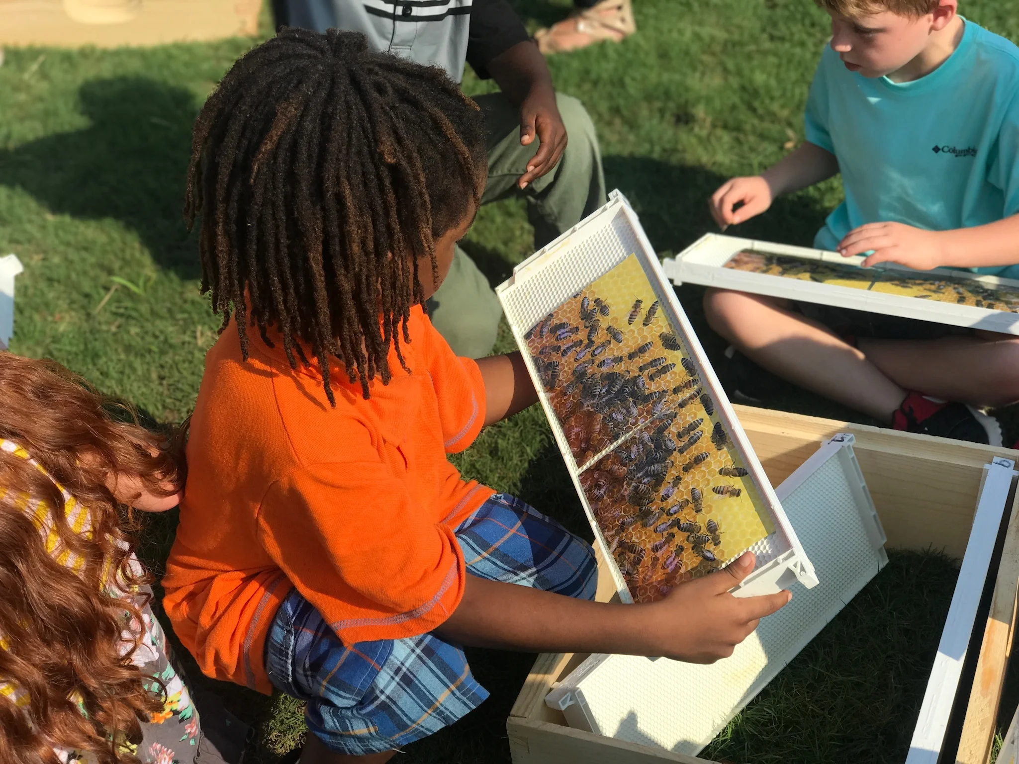 Dougherty County | 2019