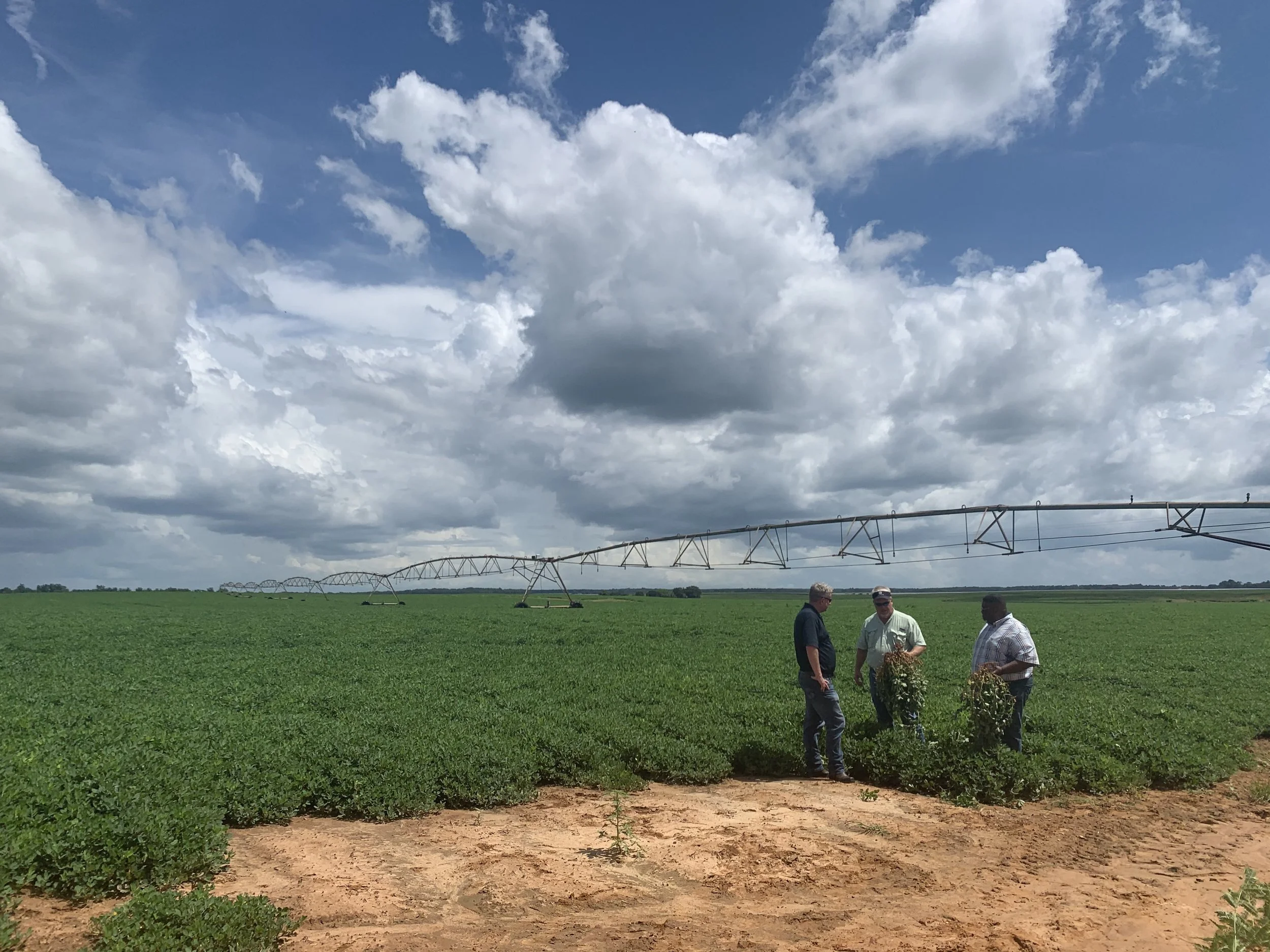 Invest in best best management practices and irrigation efficiency upgrades