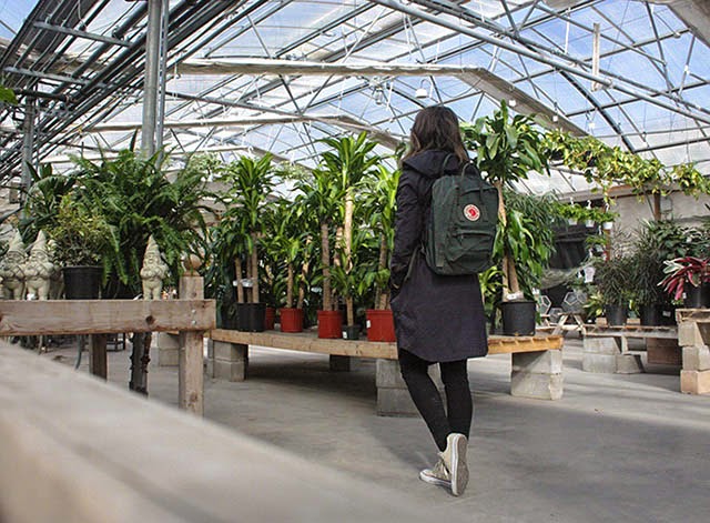plant7.jpg