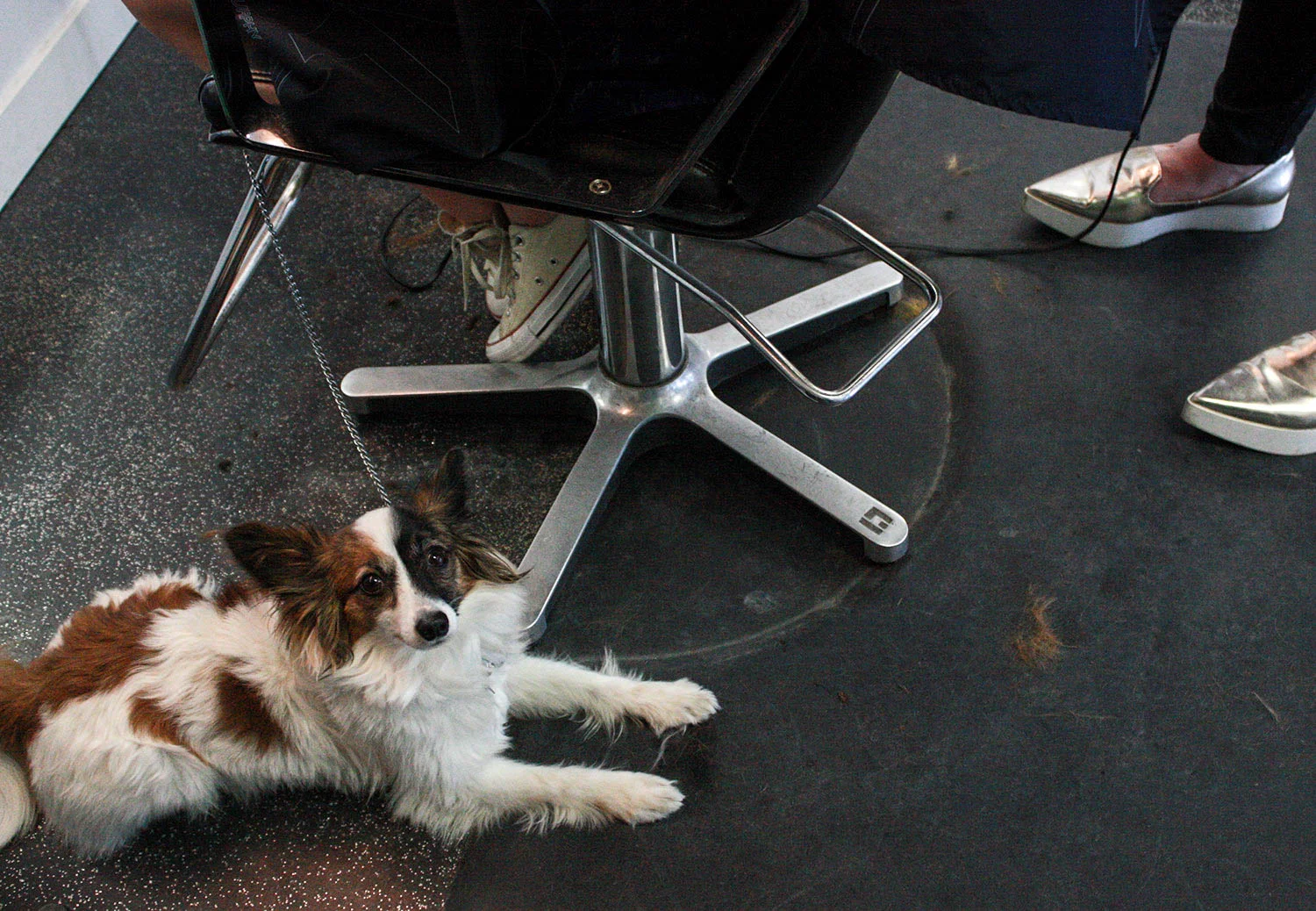 Prep Cares Cut-a-thon with Meghan Kinita