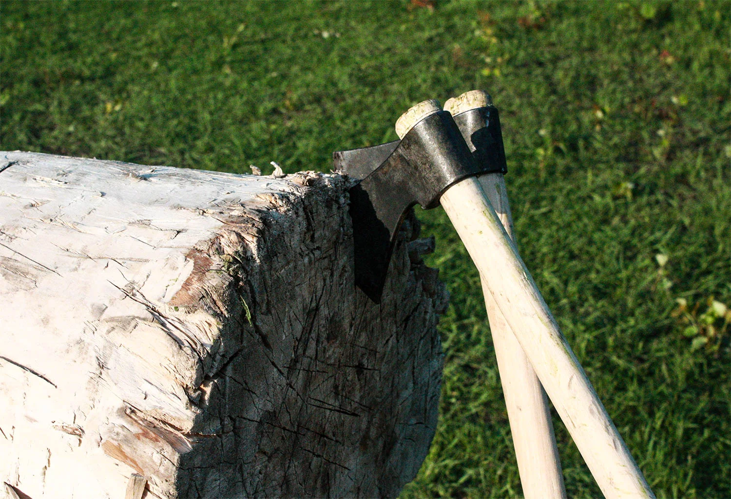 Microadventures with Fort Whyte Alive