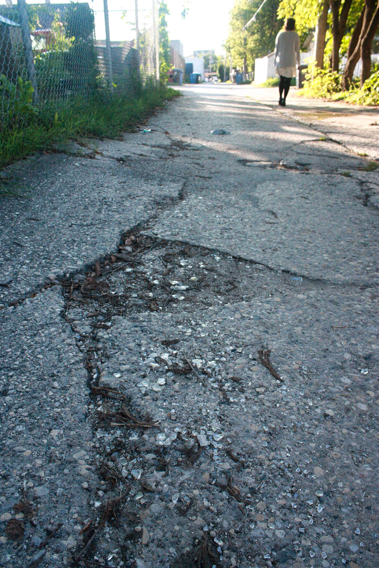 selkirk27.jpg