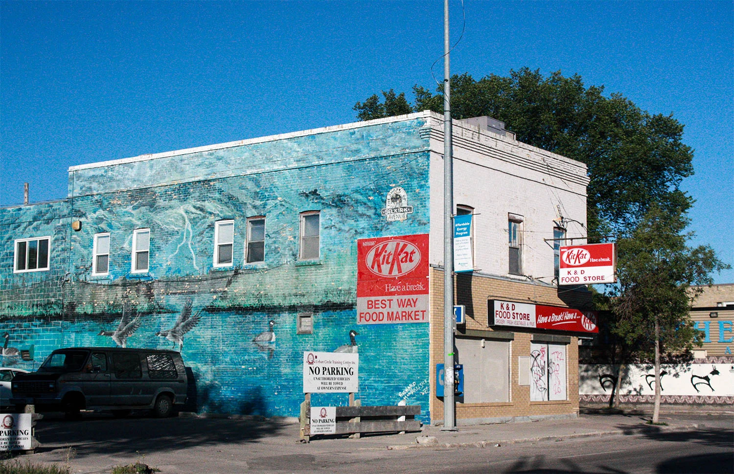 selkirk32.jpg