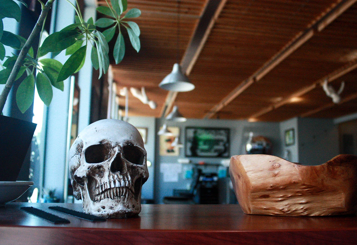 Jessica Vann: Forbidden Body Art