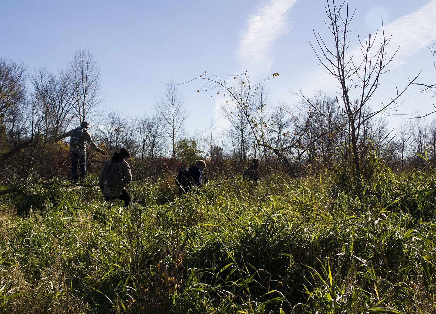 From Here and Away in Wild Saint Boniface
