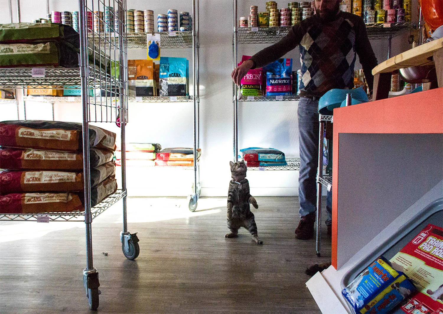 Mike and Derek: The Village Pet