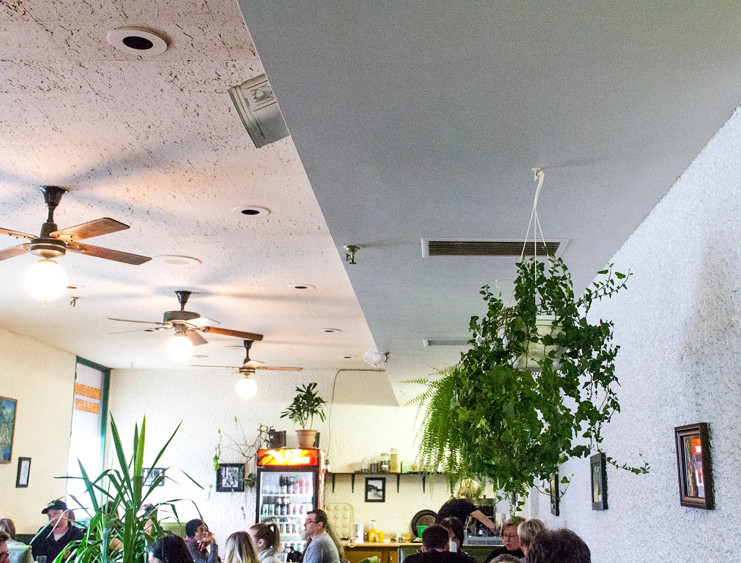 The Final Days of The Osborne Village Café