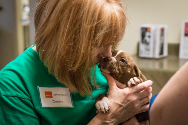 PAWS volunteer with puppy