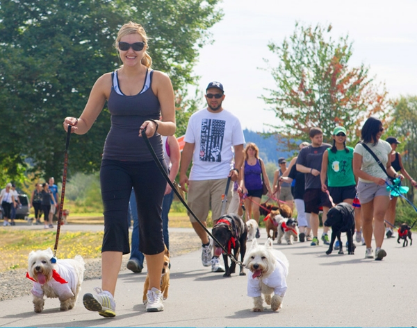 PAWS Walk