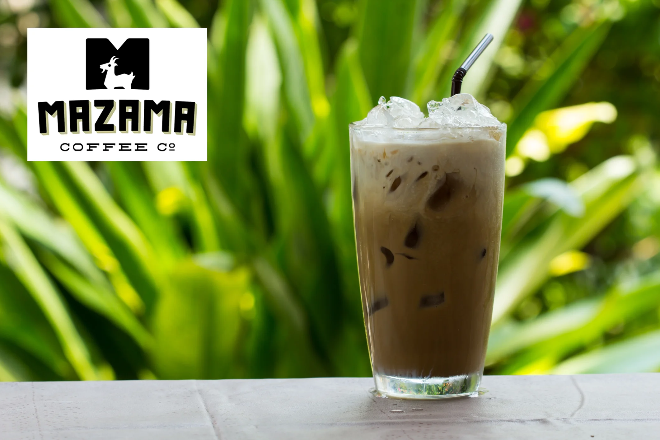 icedlatte.jpg