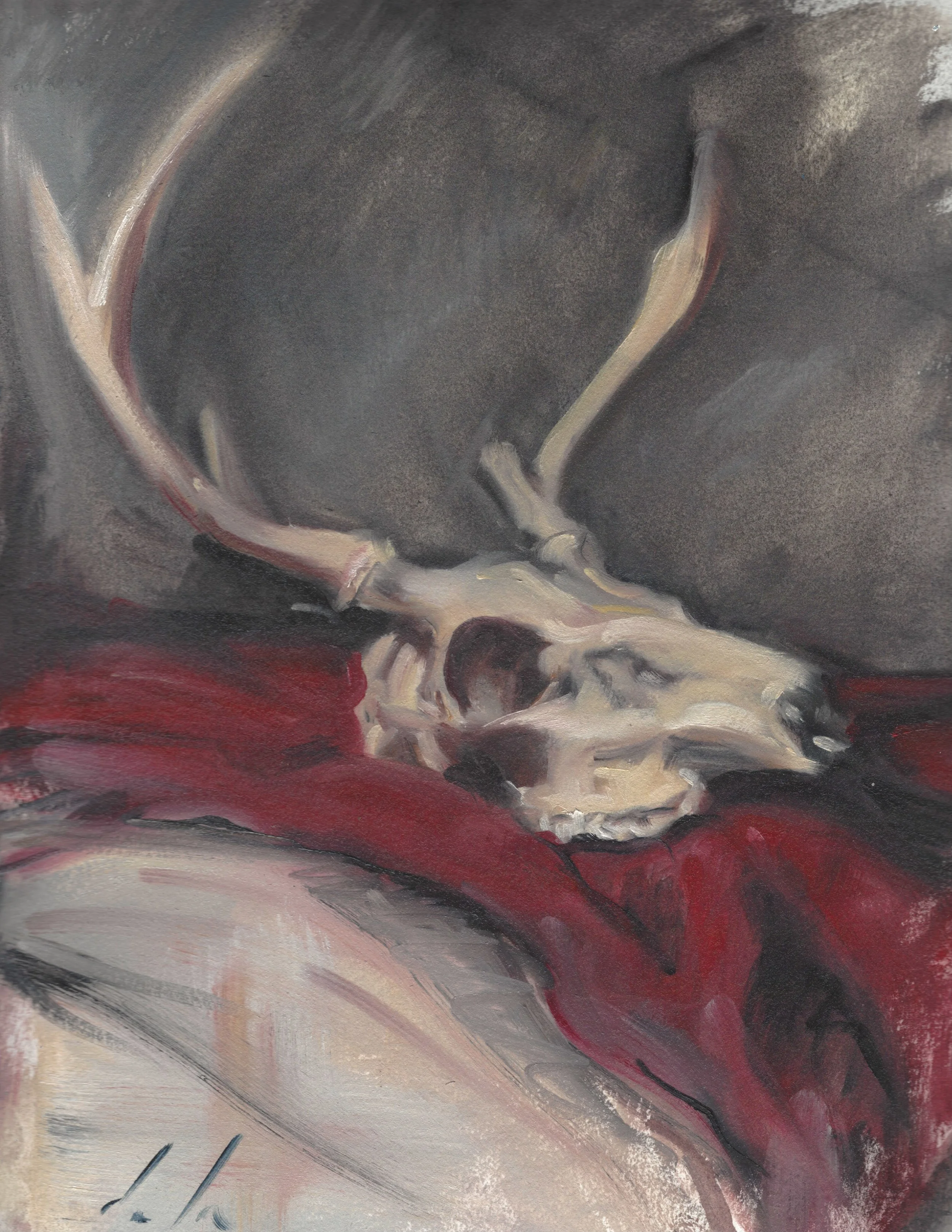 Stag