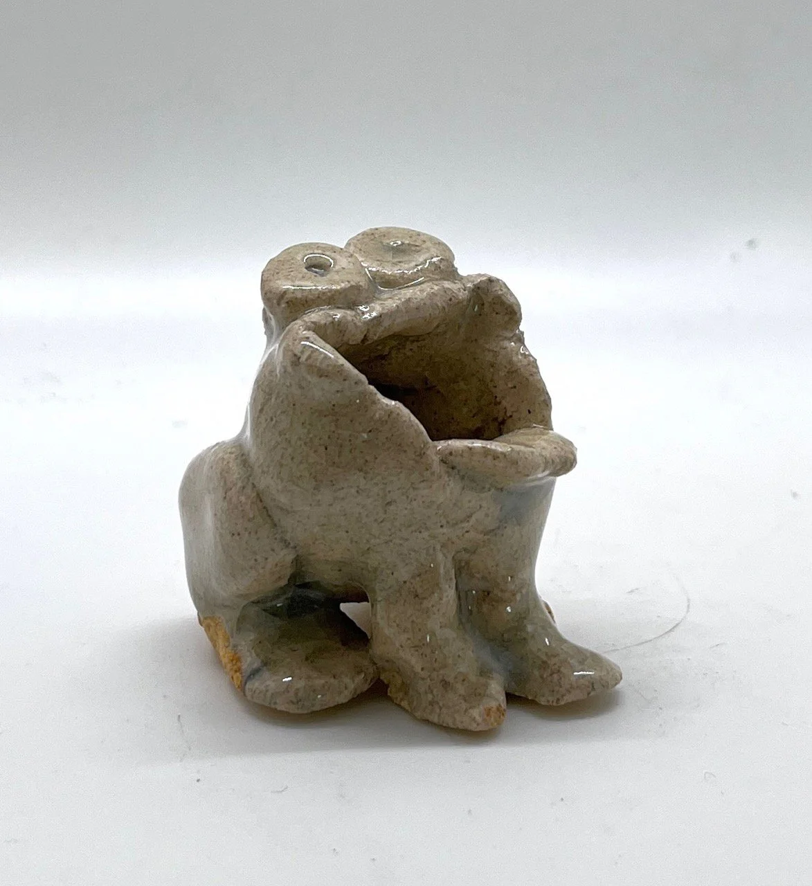JStelnicki frog3 front.jpg