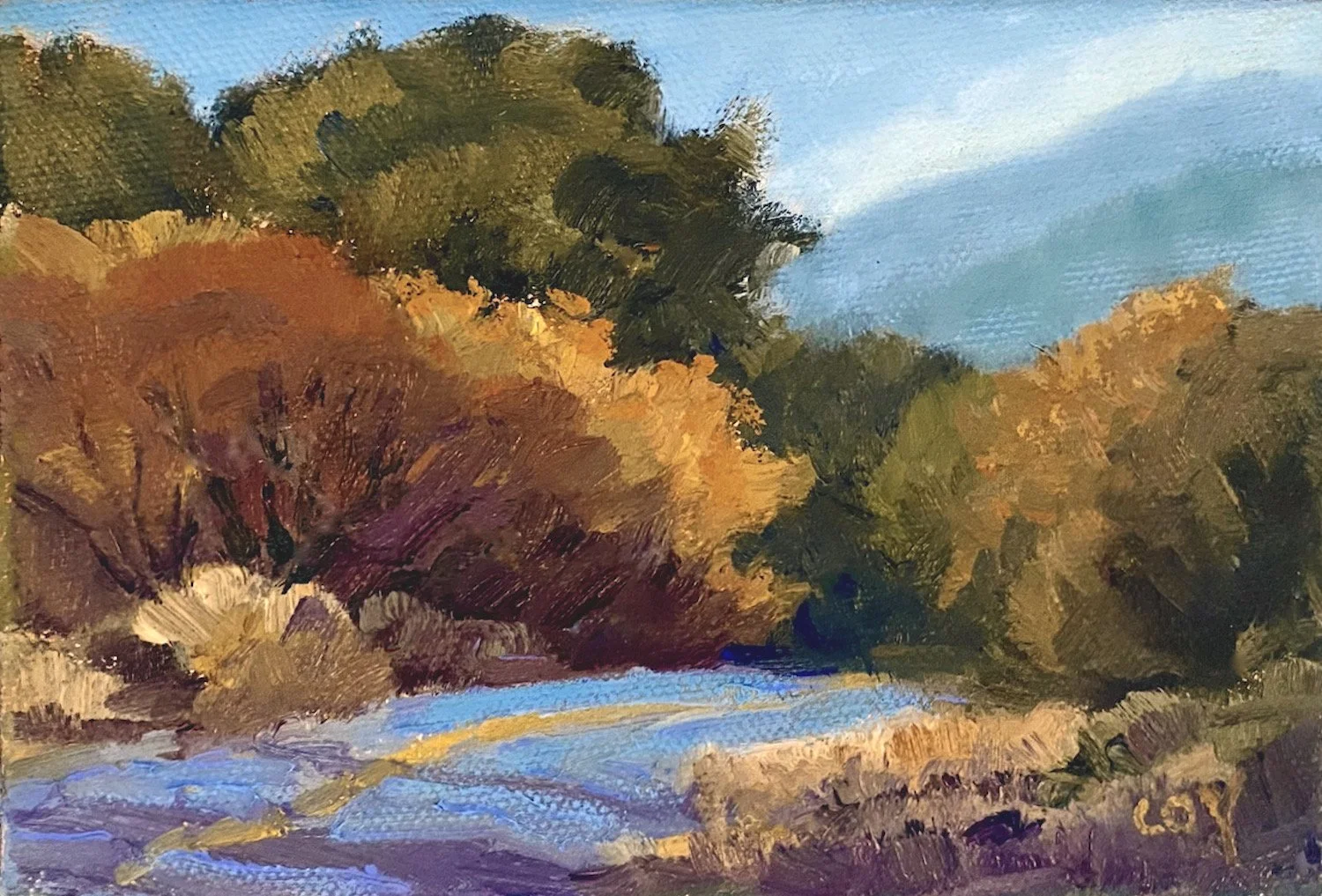 CCoy - Bear Valley Rd PtReyes_4x6_oc.jpeg