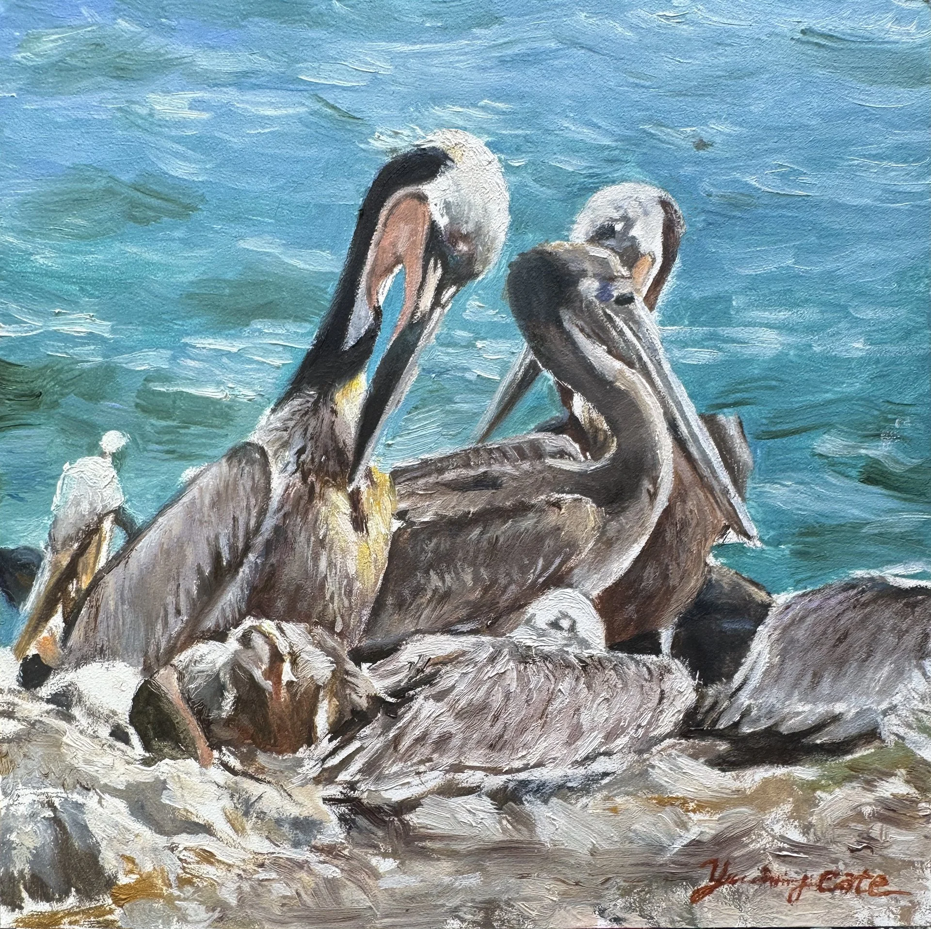 YCate-Pelicans Nest_Youming Cate.jpg