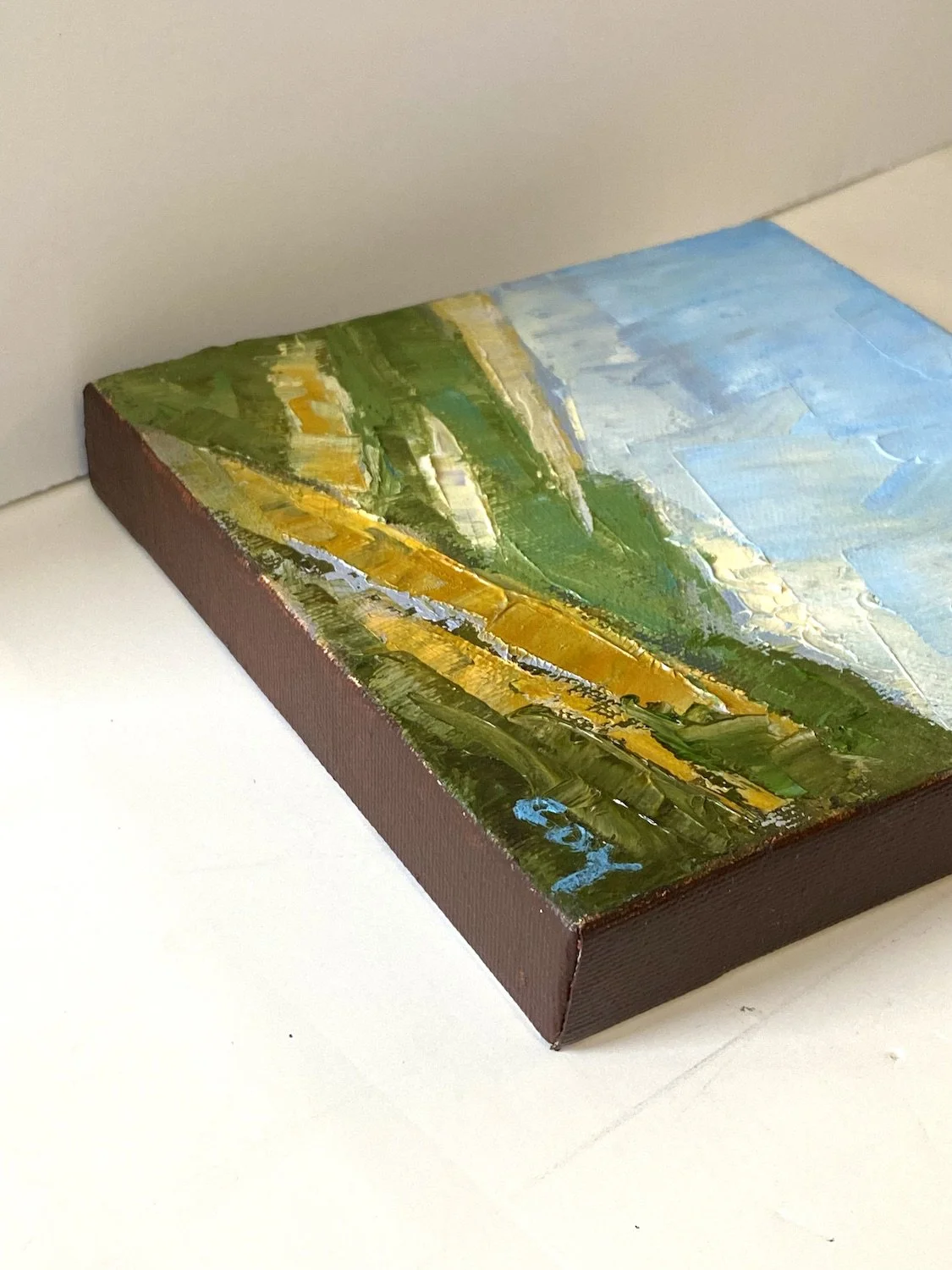 CCoy_Marin Hills side view.jpg