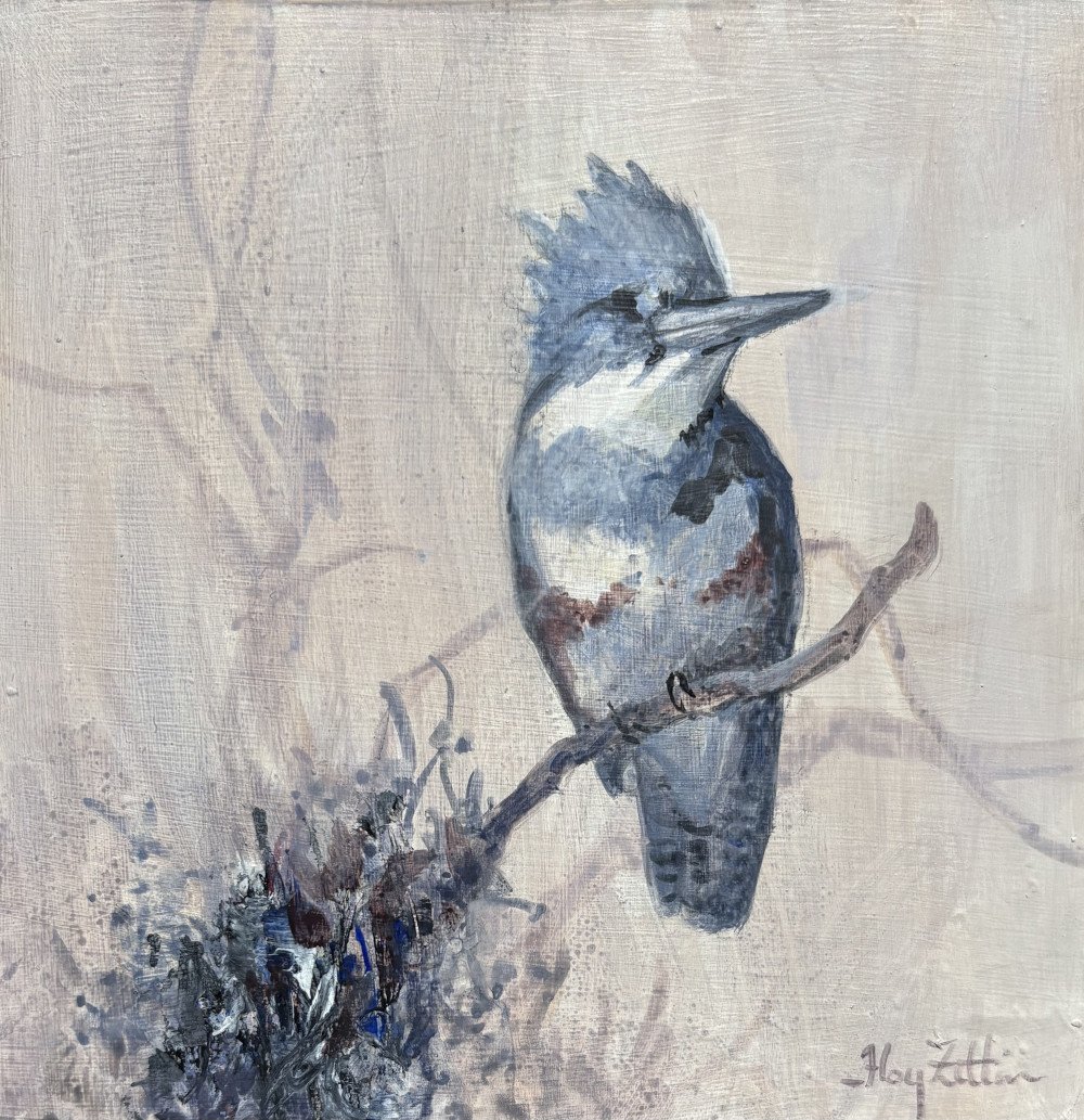 FZittin-Kingfisher and Brambles1000.jpeg