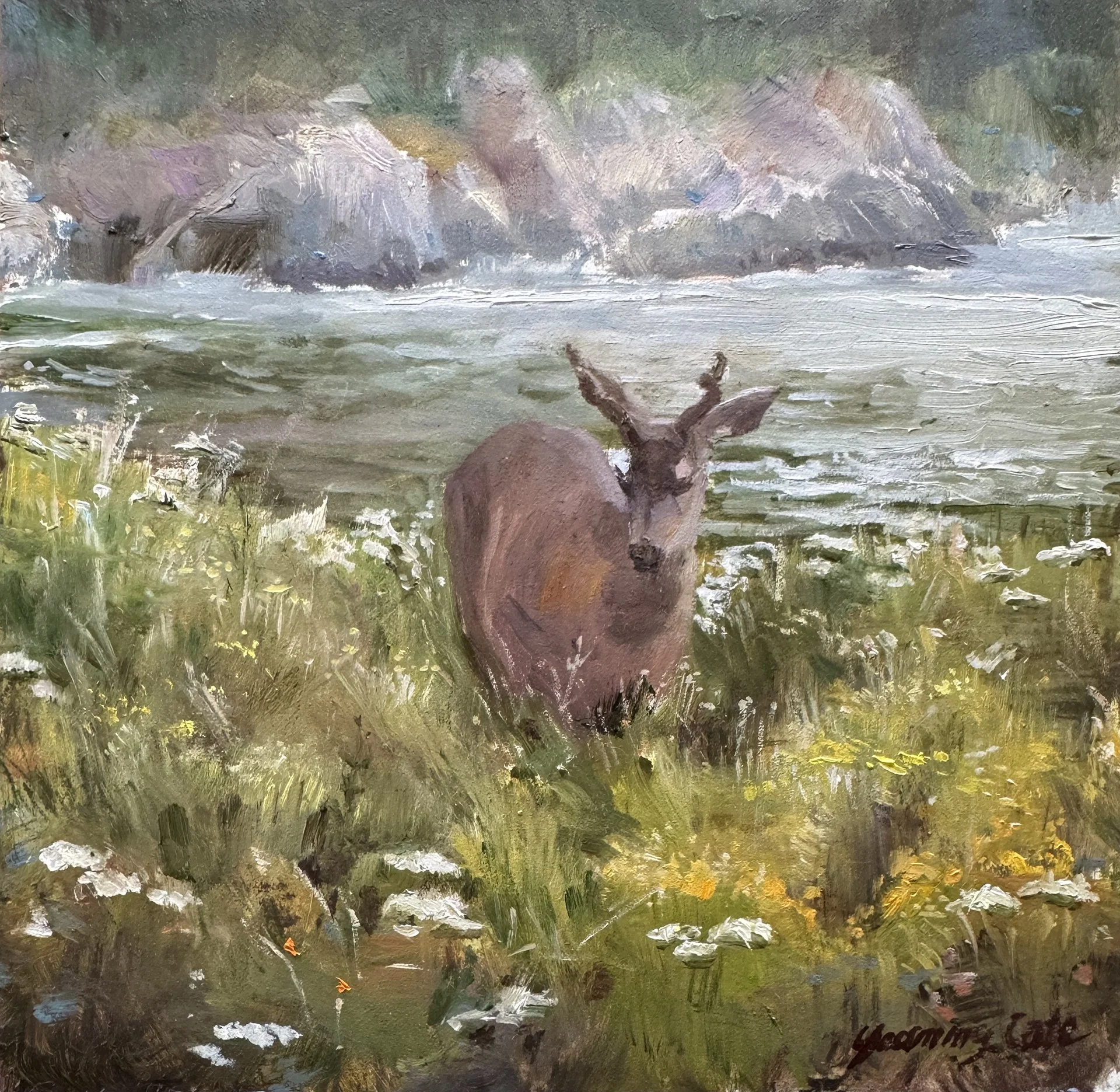 YCate-Coastal Antler View_Youming Cate.jpg