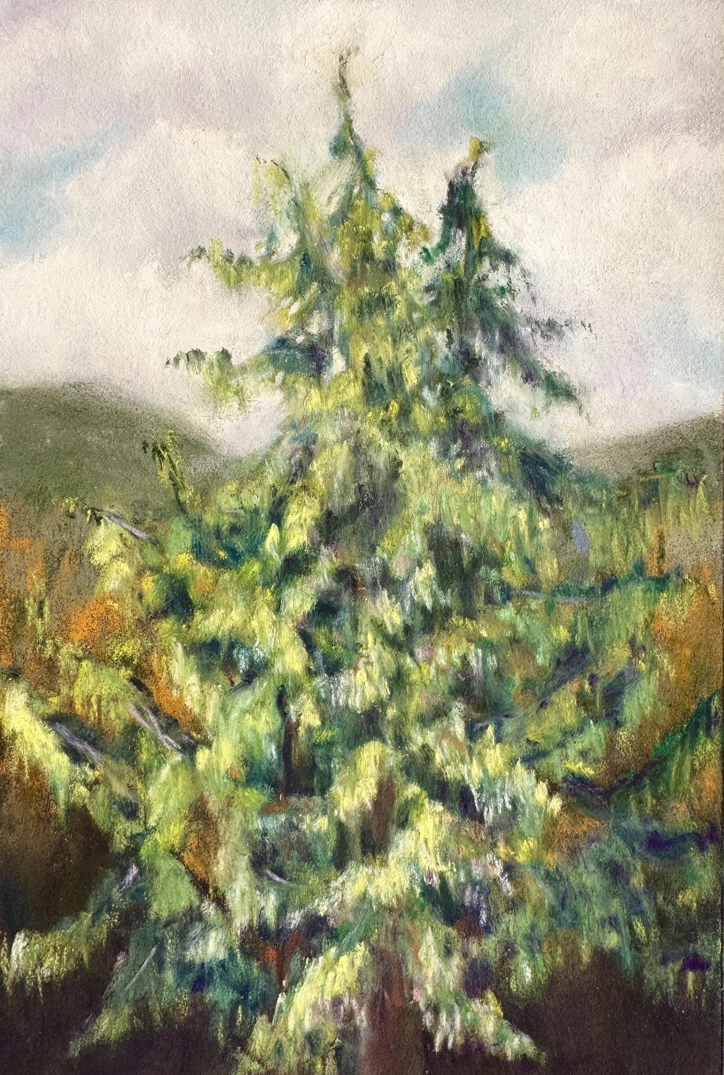 CGWilliams-Cedars.jpg