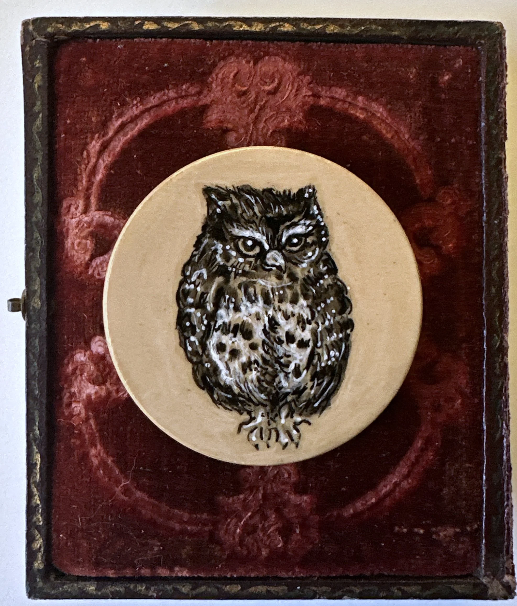 PTraverso_whoorwhom-owl.jpg
