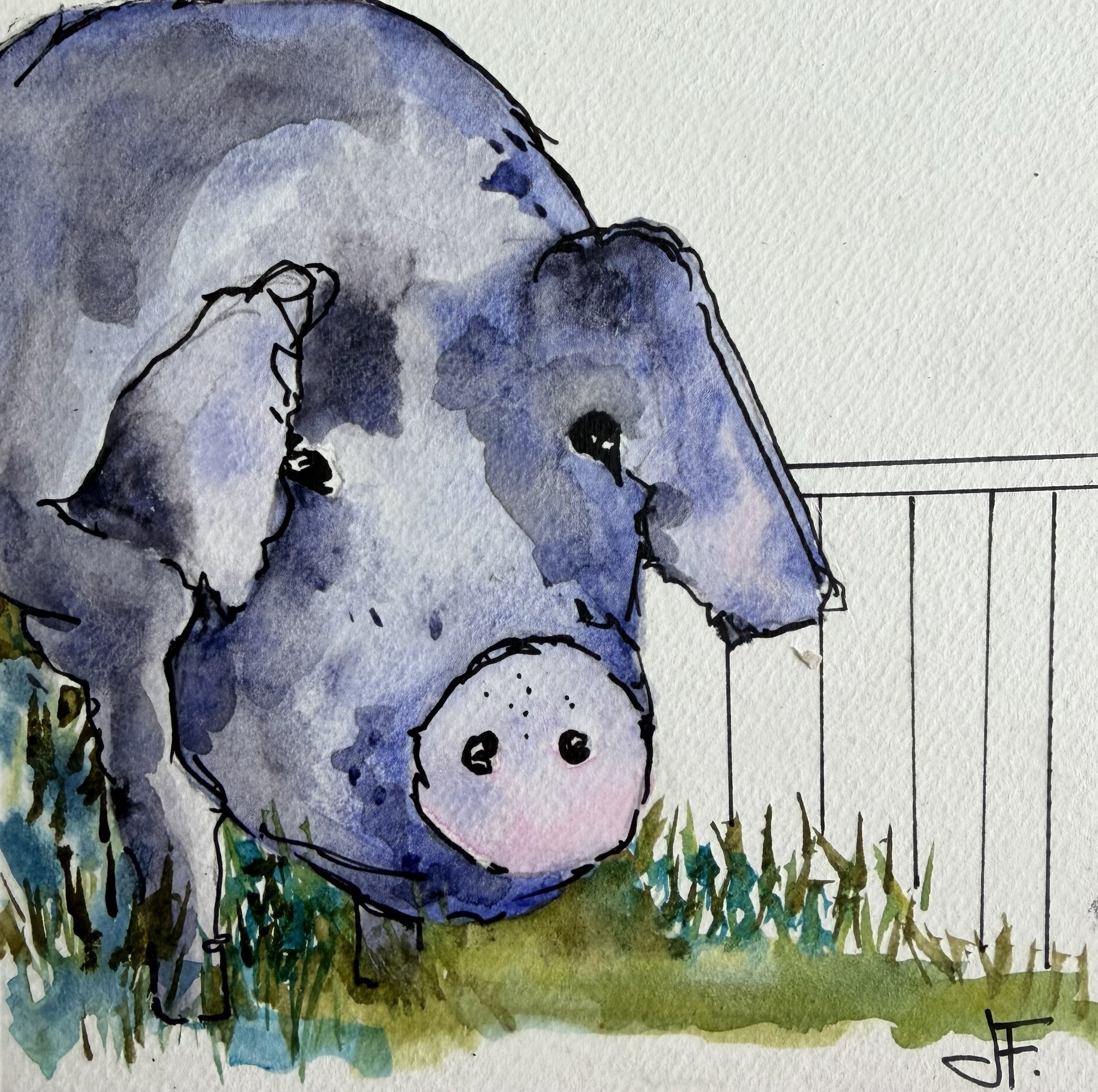 JFerguson-Blue Pig.jpg