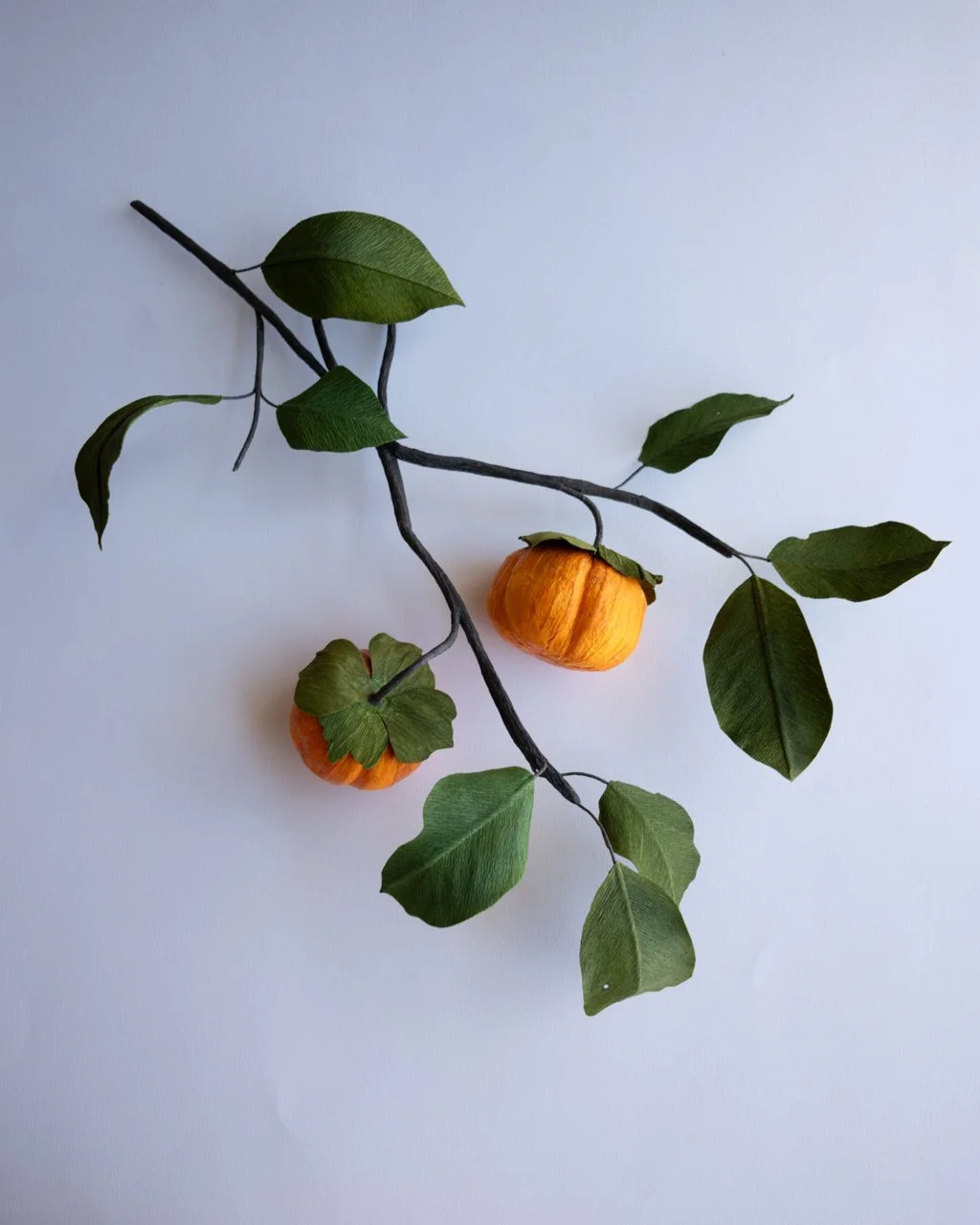 YLiu-FuyuPersimmon-back.jpg