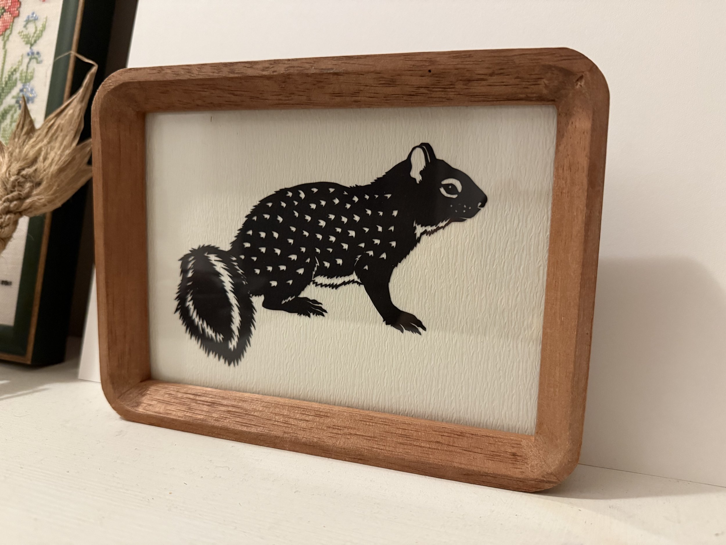 DYew-ground squirrel2.JPG