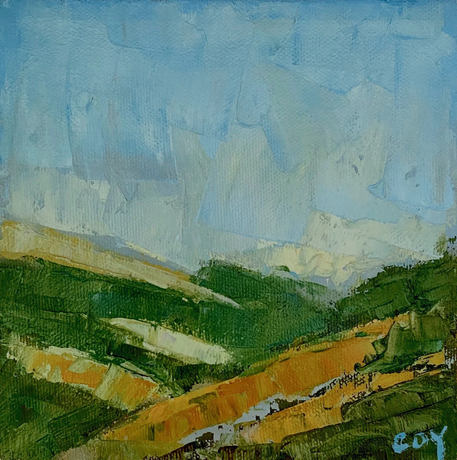 CCoy_Marin Hills_6x6_oc.jpeg