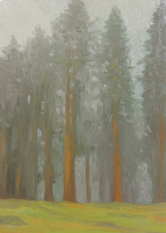 Redwood Fog: Monte Rio