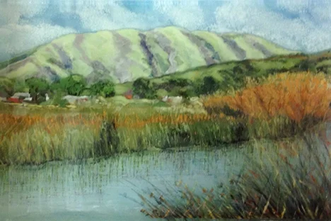 Elephant Mountain, Pt. Reyes, CA