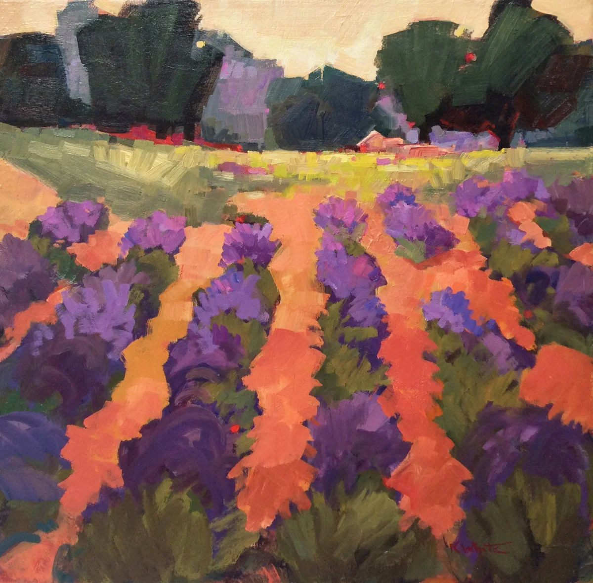 Lavender Rows, Paso Robles