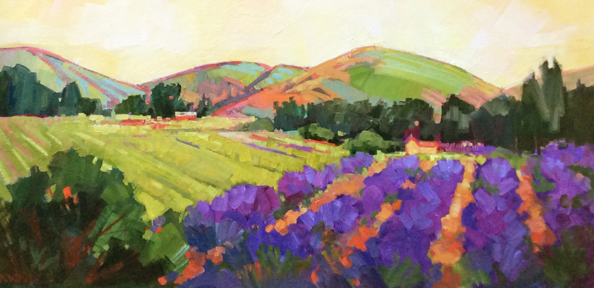 Bennett Valley Lavender