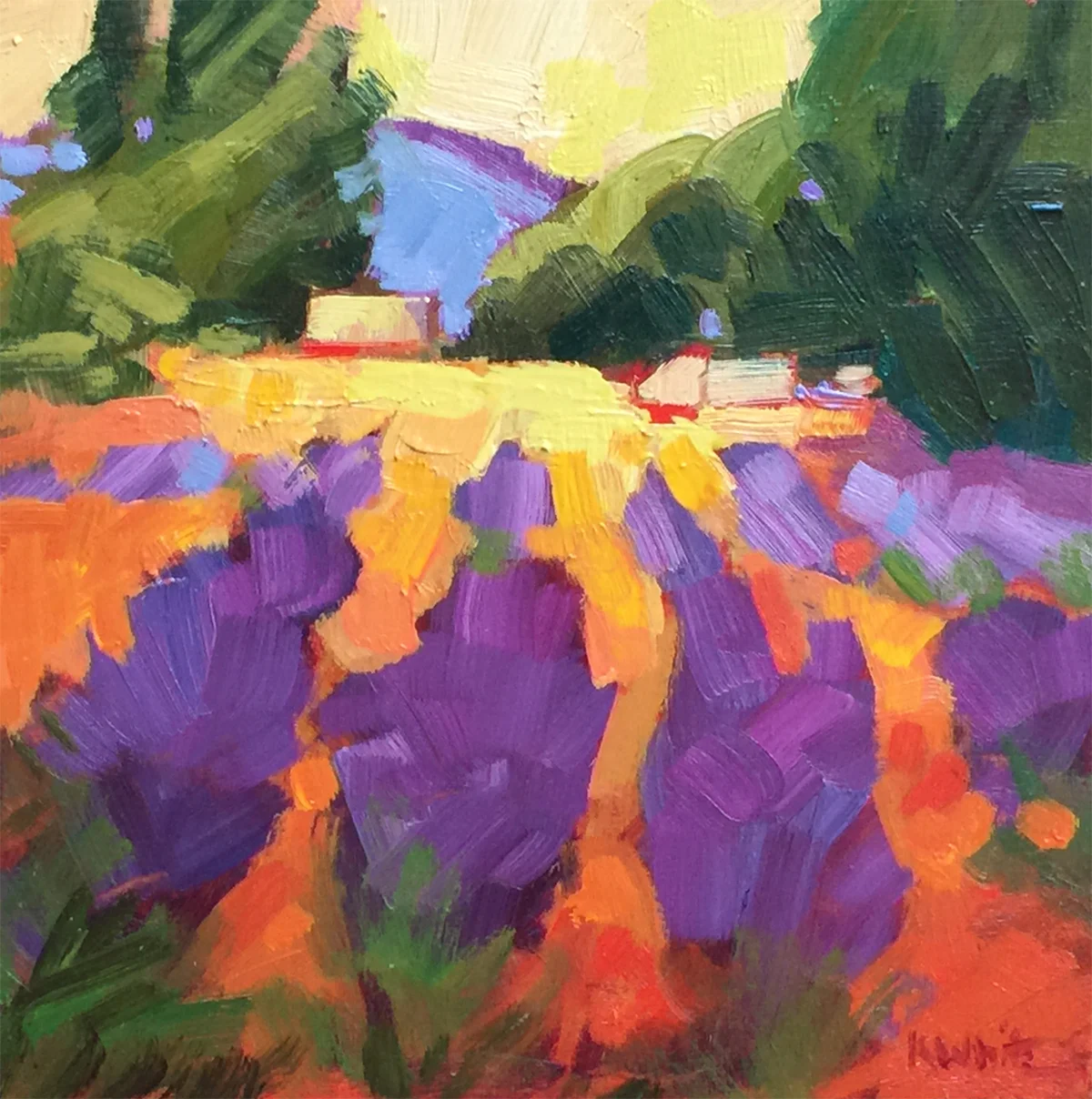 Lavender Farm, Peach Sky