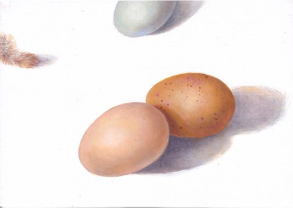 Eggs 1