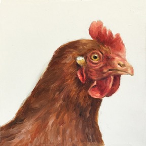 Hen