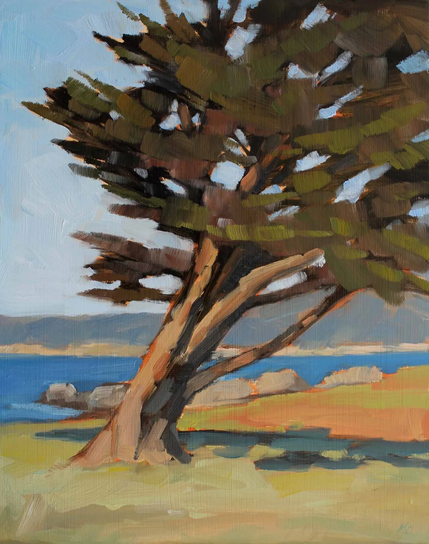 Leaning Cypress, Pacific Grove
