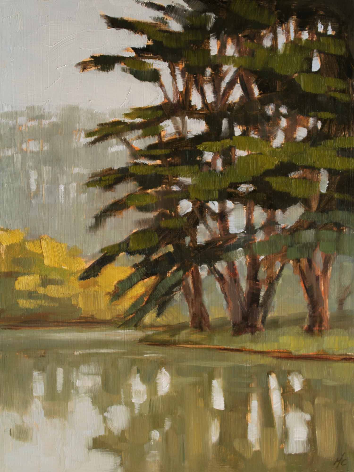 Cypress Reflections, Stow Lake