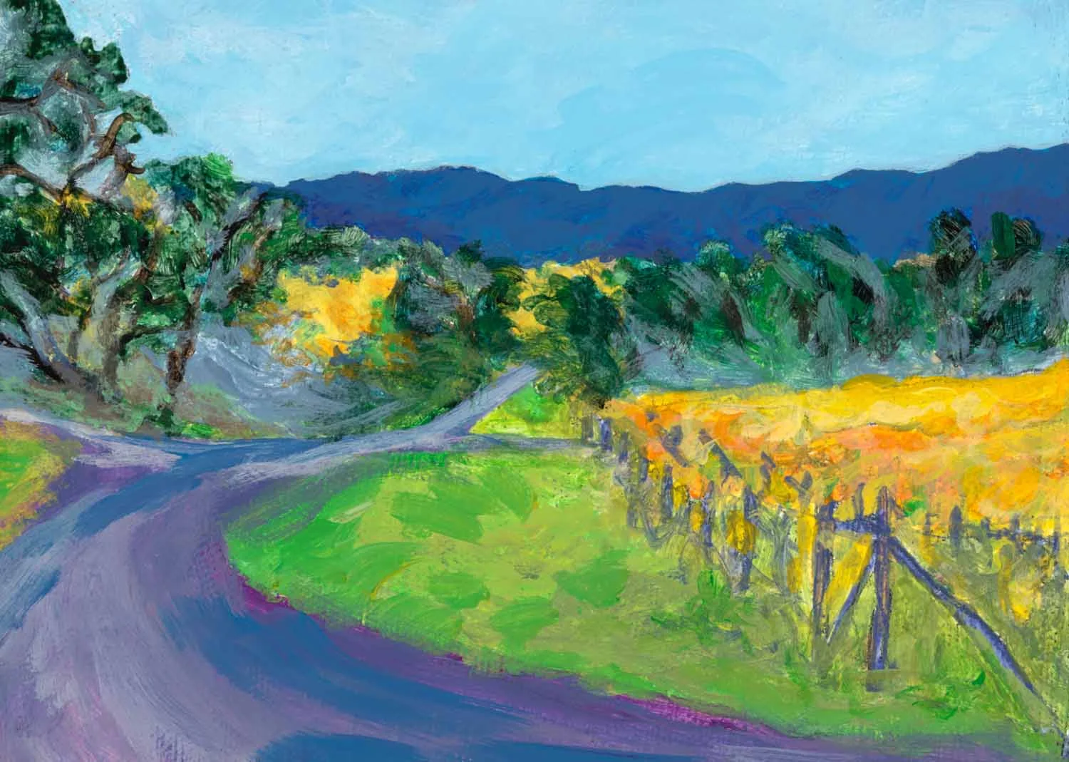 Fall Vineyard, Anderson Valley