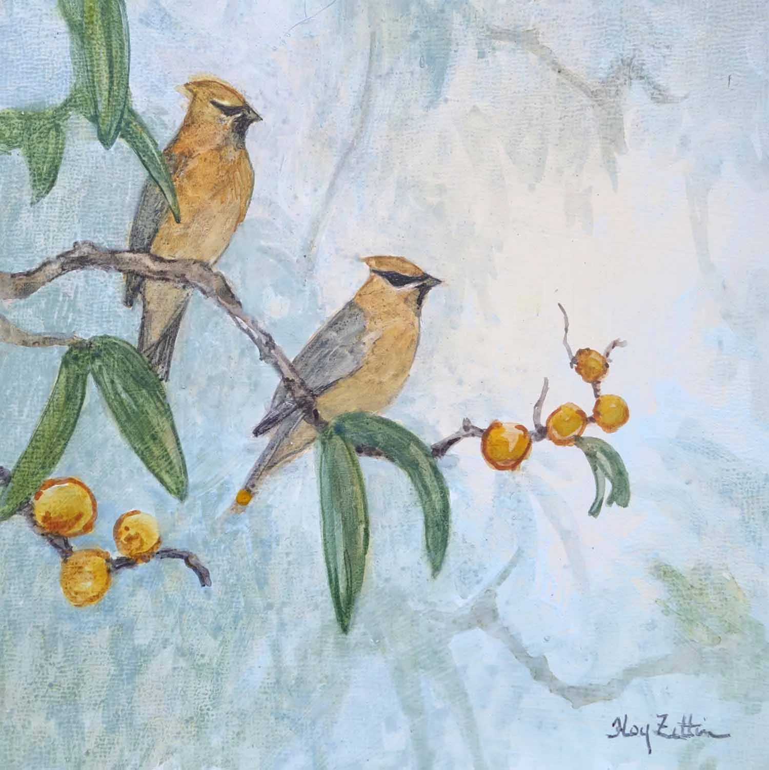 Cedar Waxwings