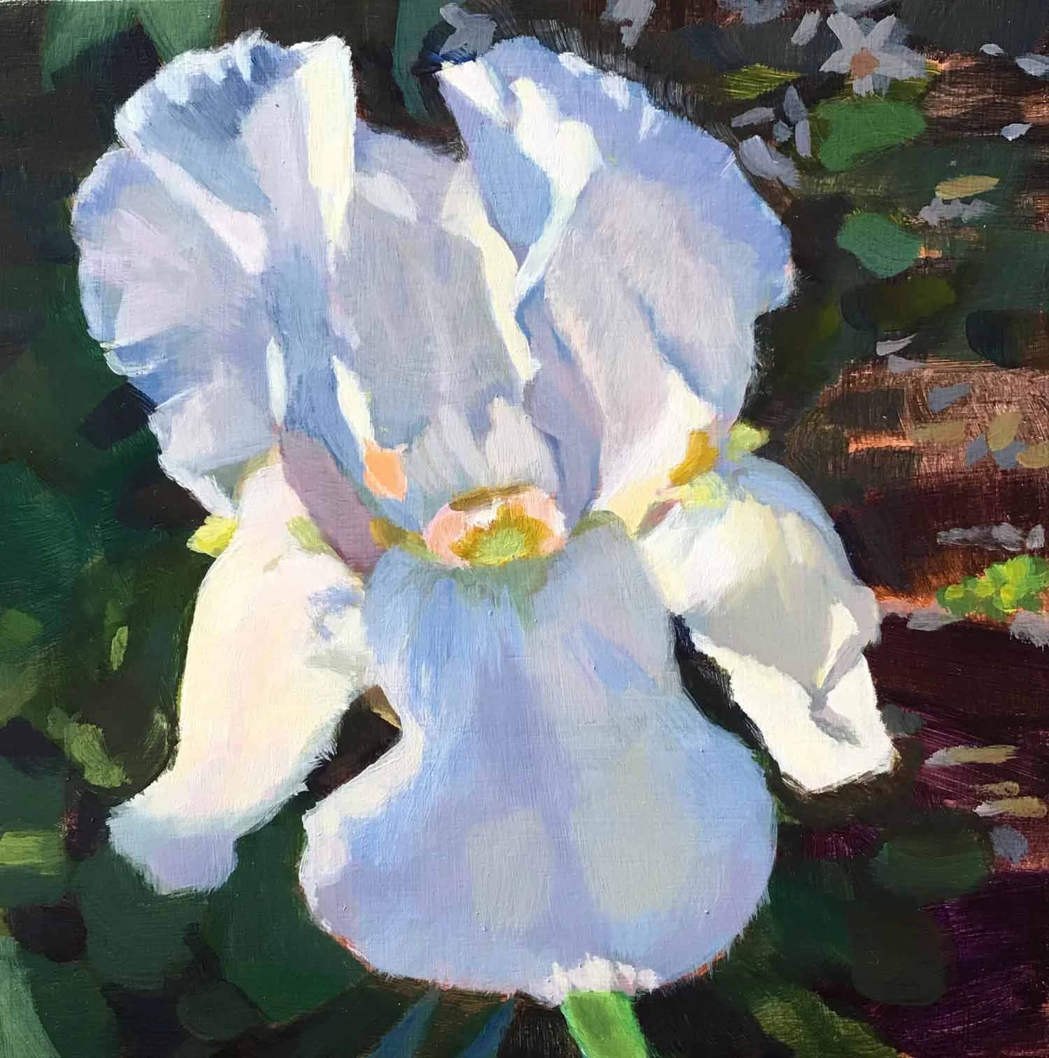 White Iris