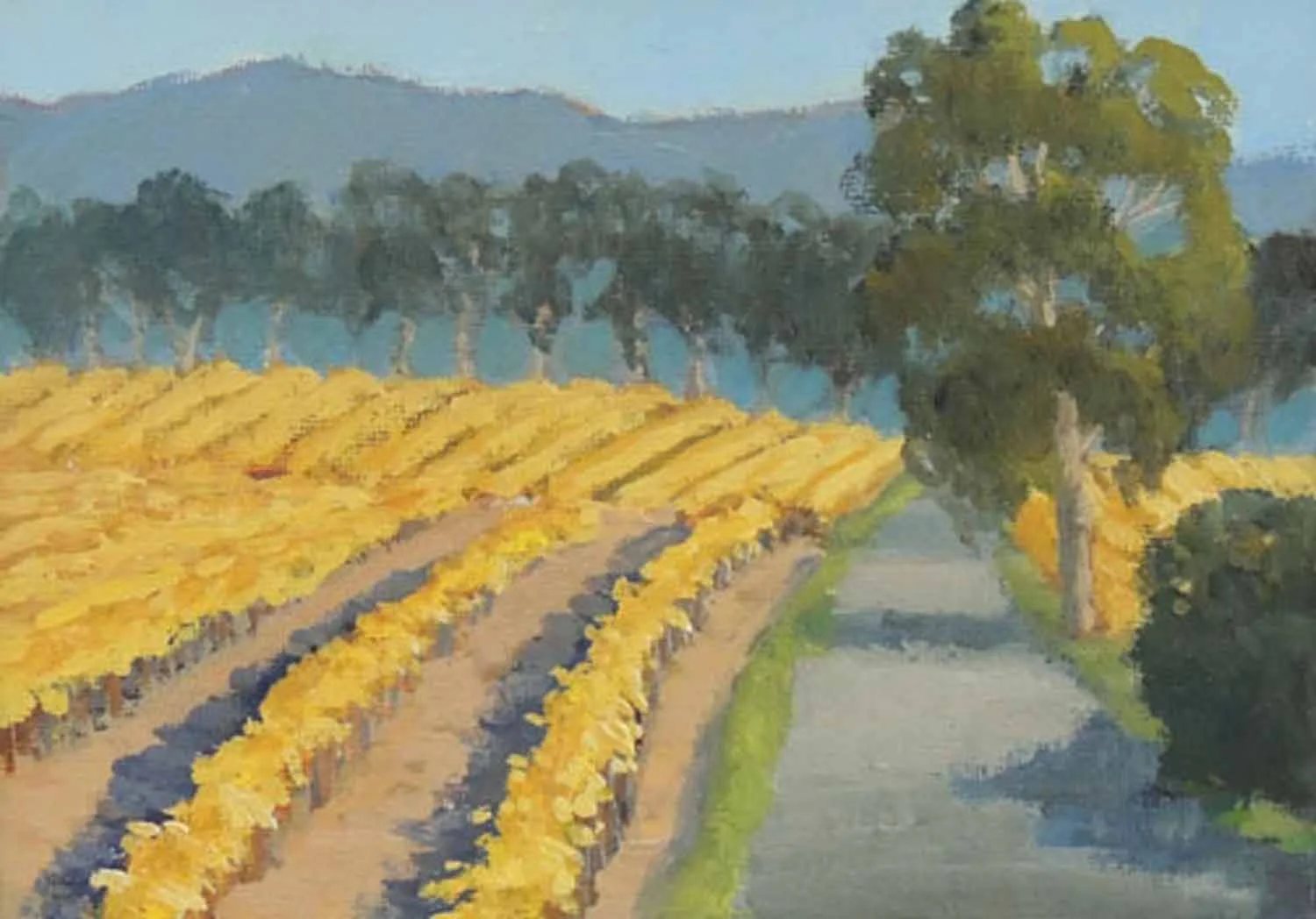 Napa in Fall
