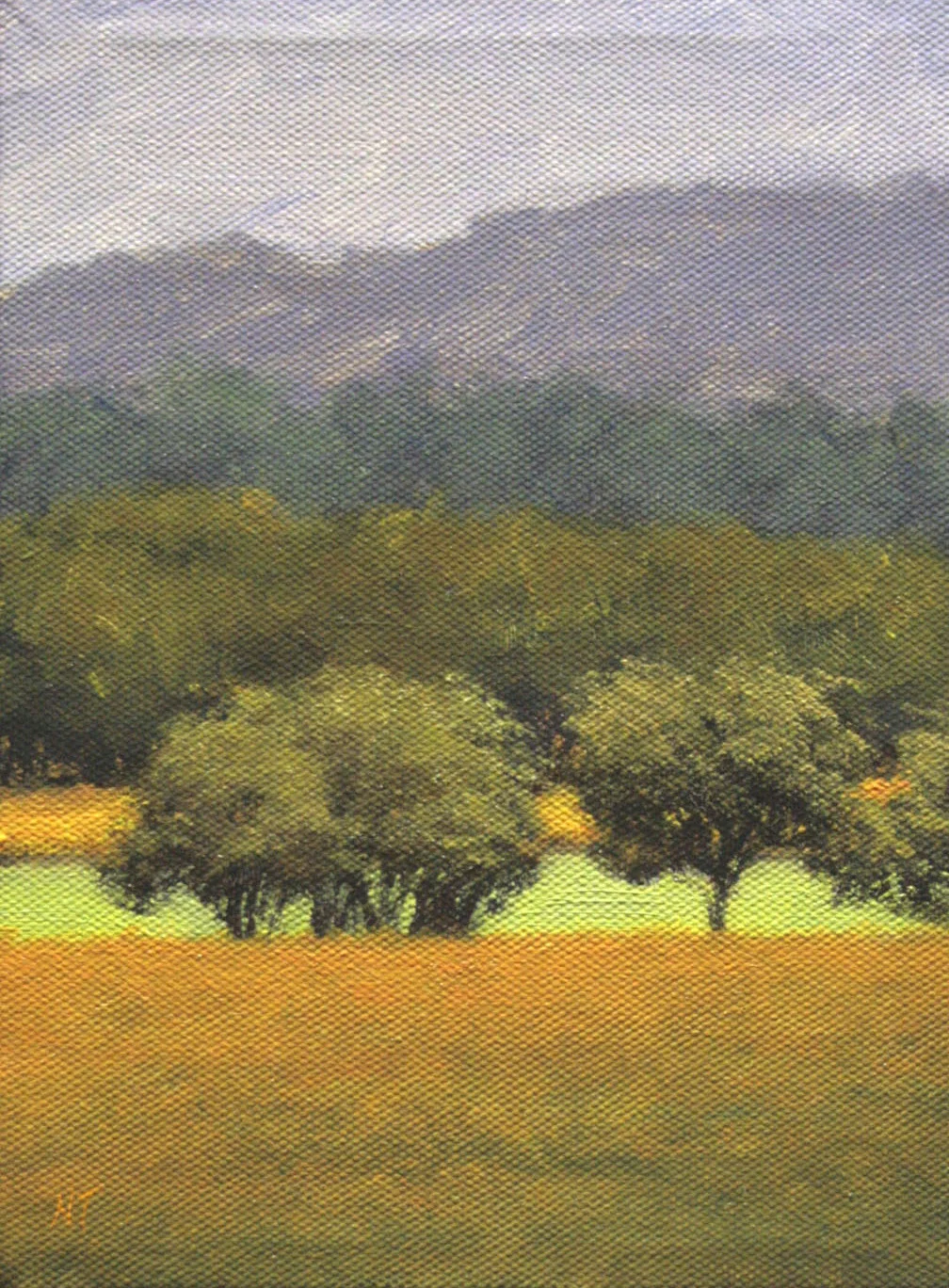 Napa Valley #2