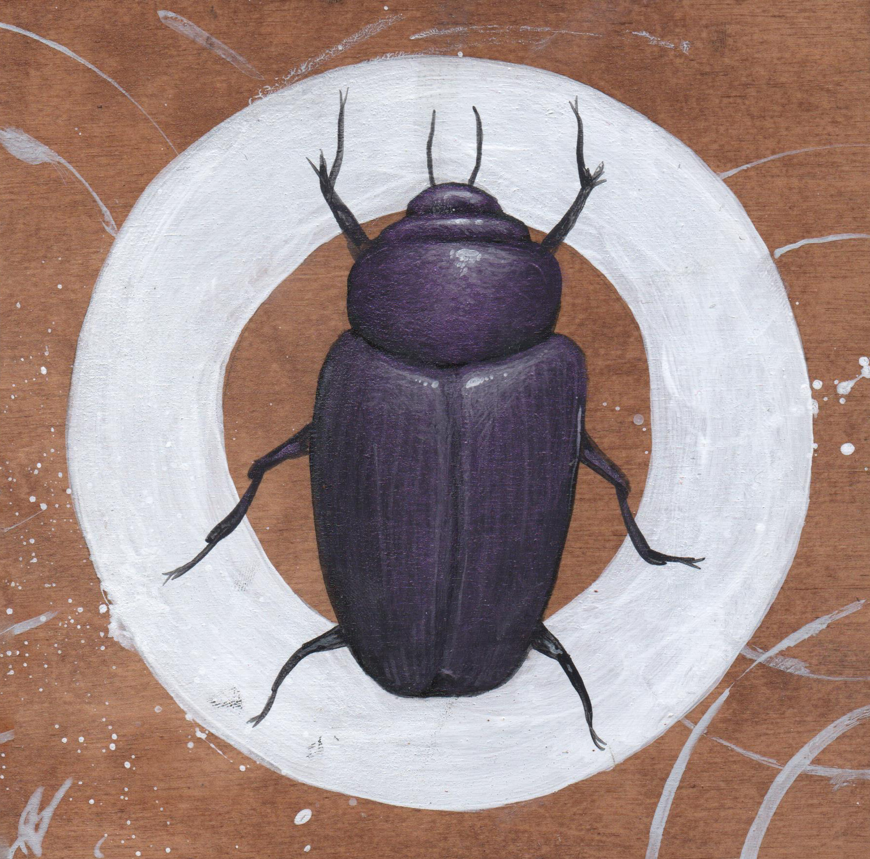 Beetle #1