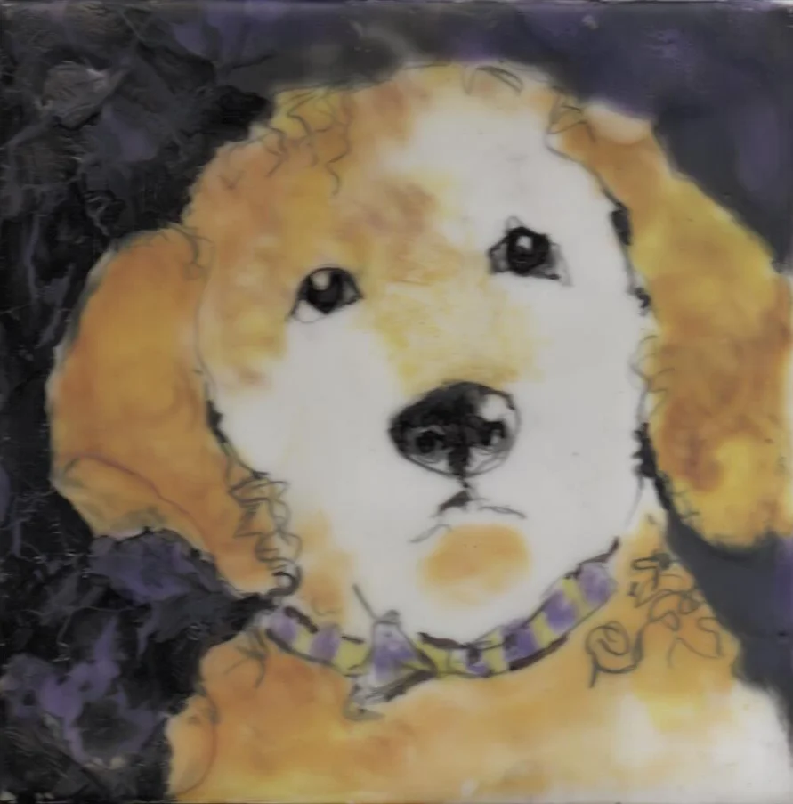 Yellow Dog