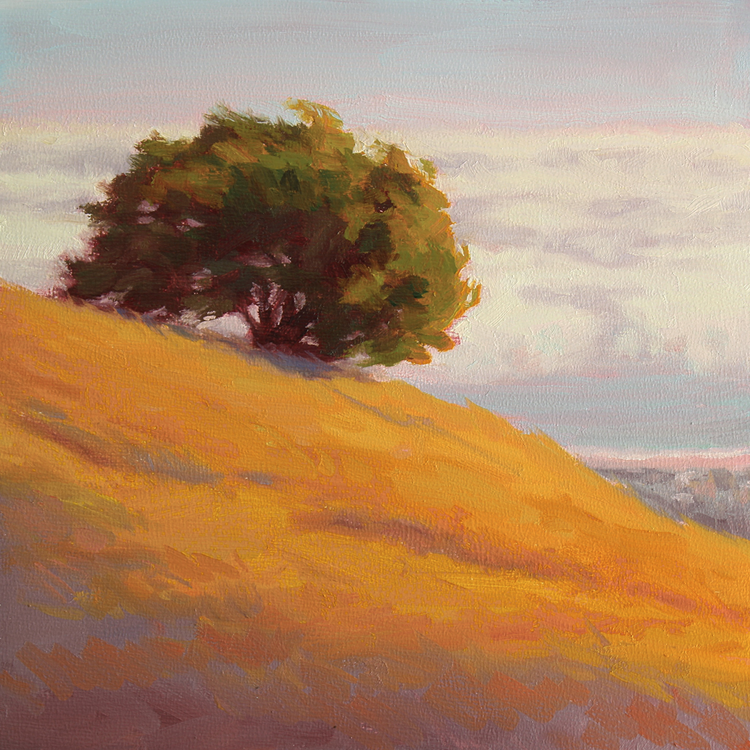 Oak over Stinson