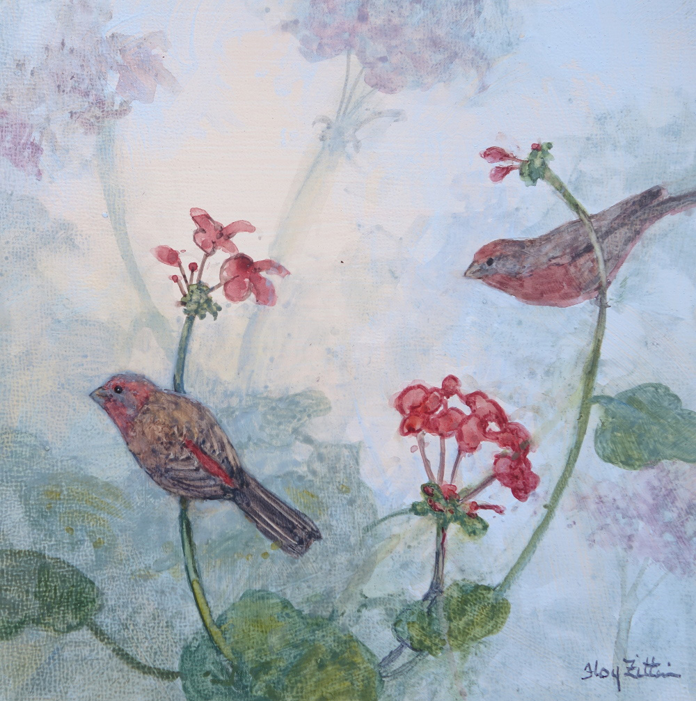 House Finch and Geraniums