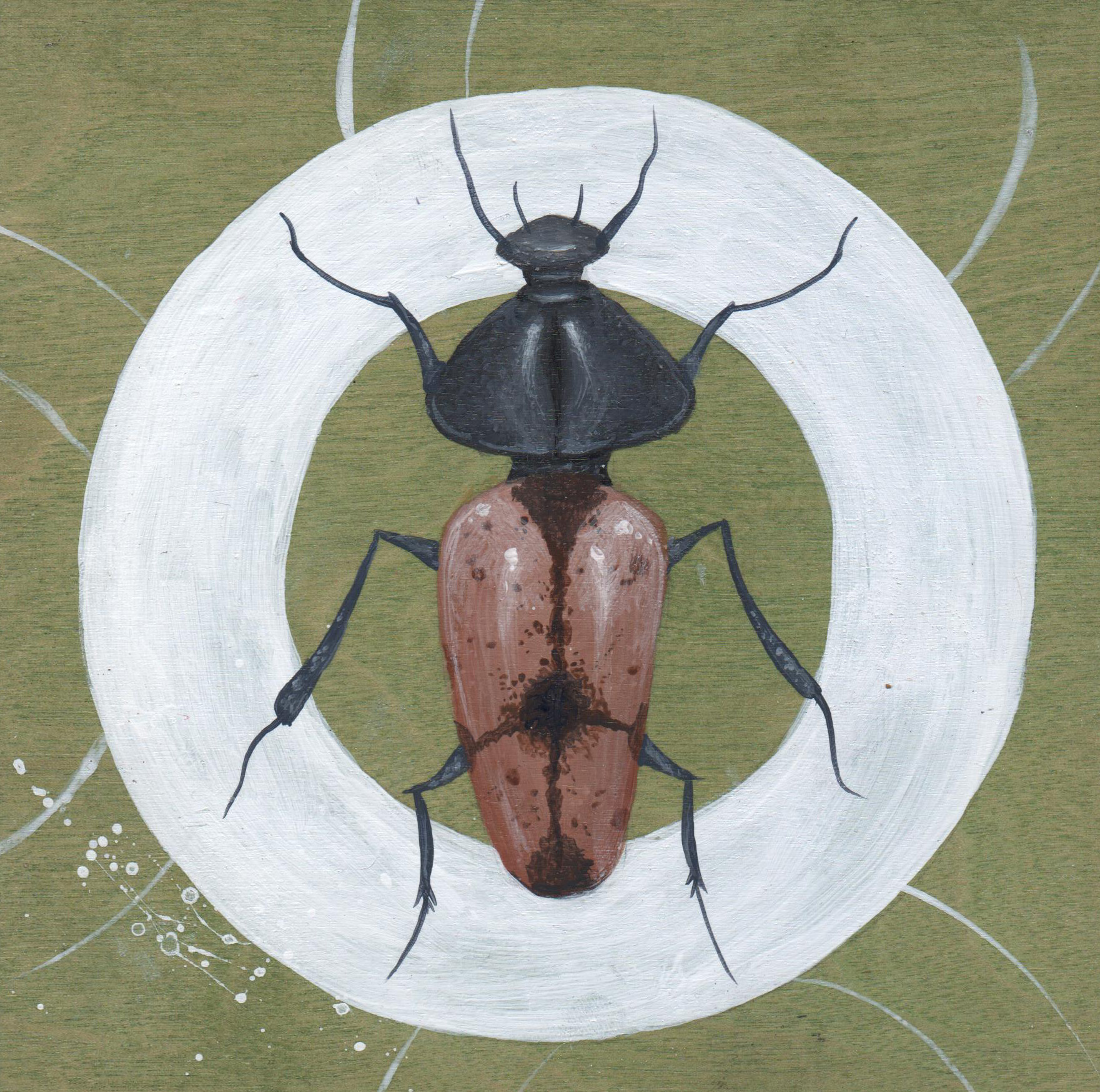Beetle #2