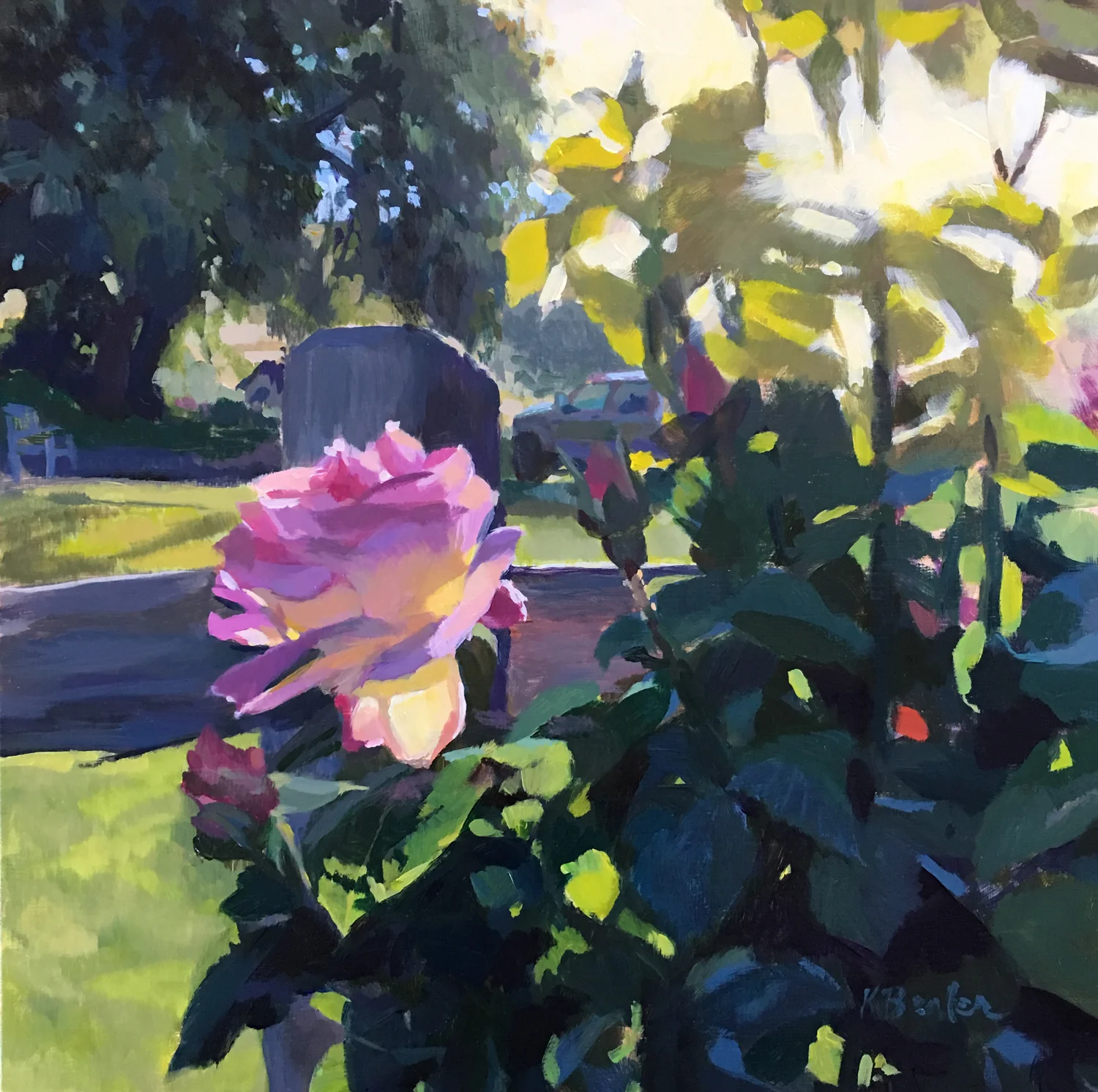 Morning Rose