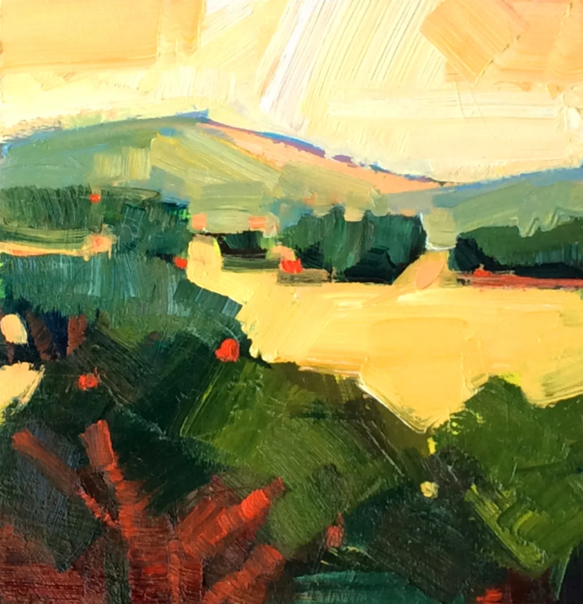 South Bay Mustard Field