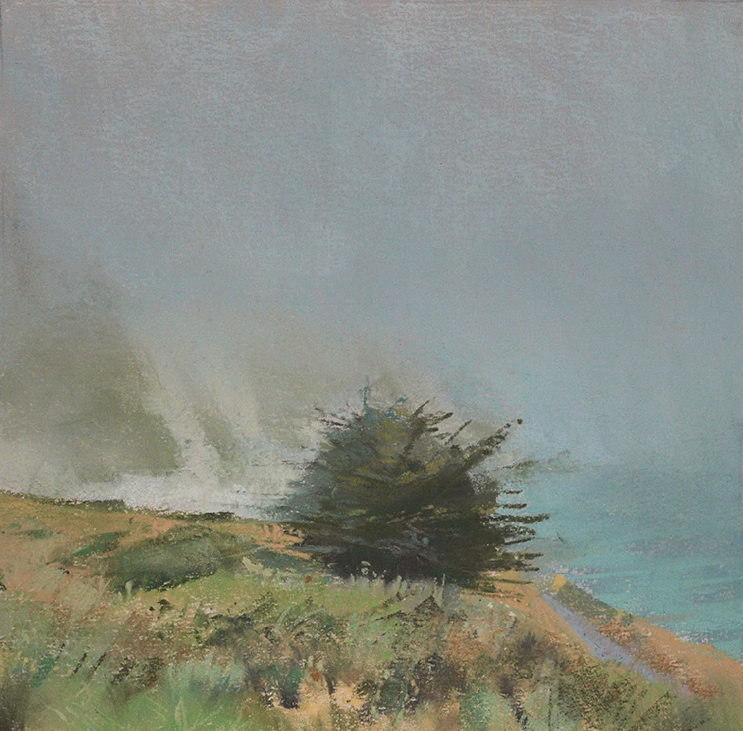 Morning Fog