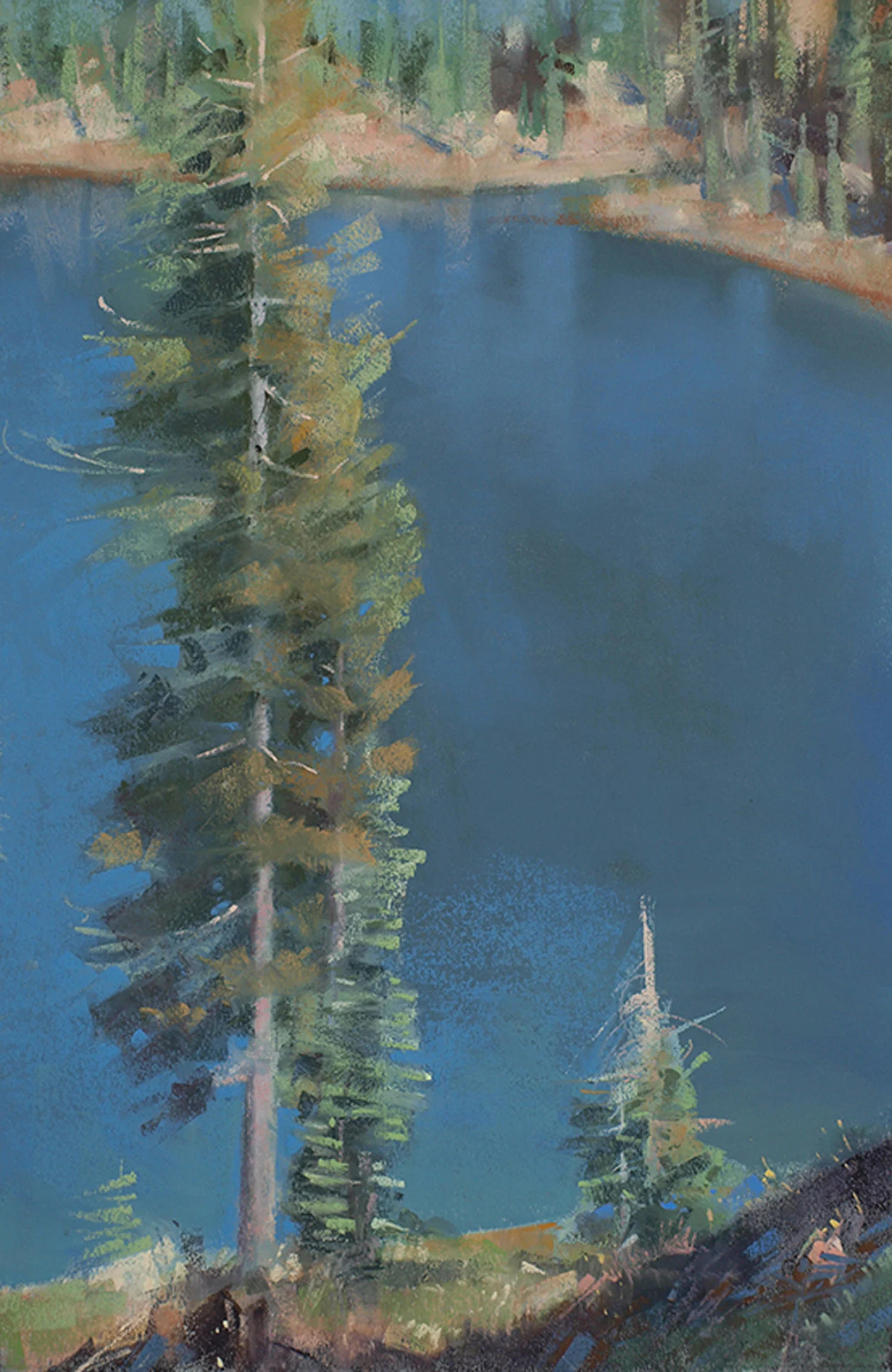 Above Deer Lake